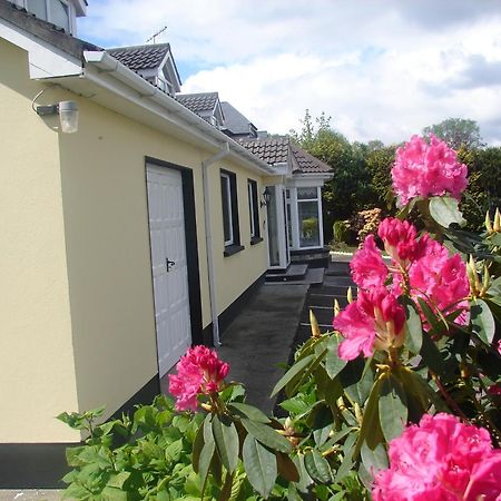 Bed and Breakfast Harbour View à Kenmare Extérieur photo